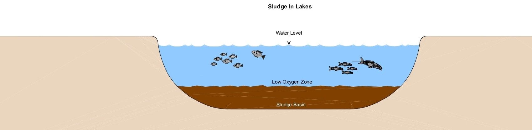 Sludge Formation & Management