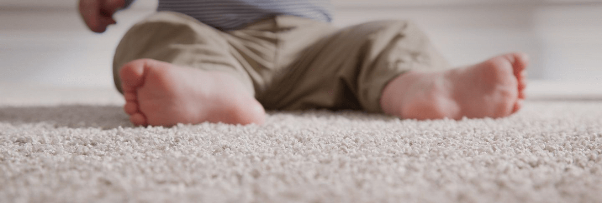 How to Eliminate Dust Mites in Your Carpet