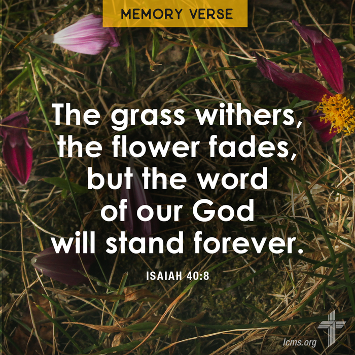 Bible verse on a background: 
