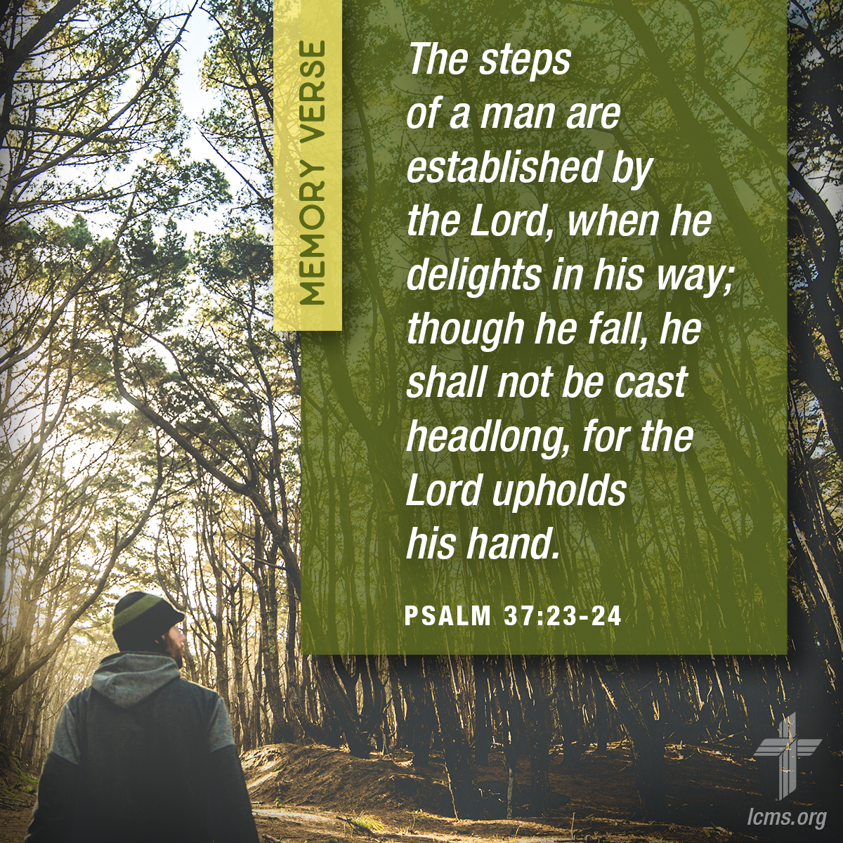 Bible verse on a background: 