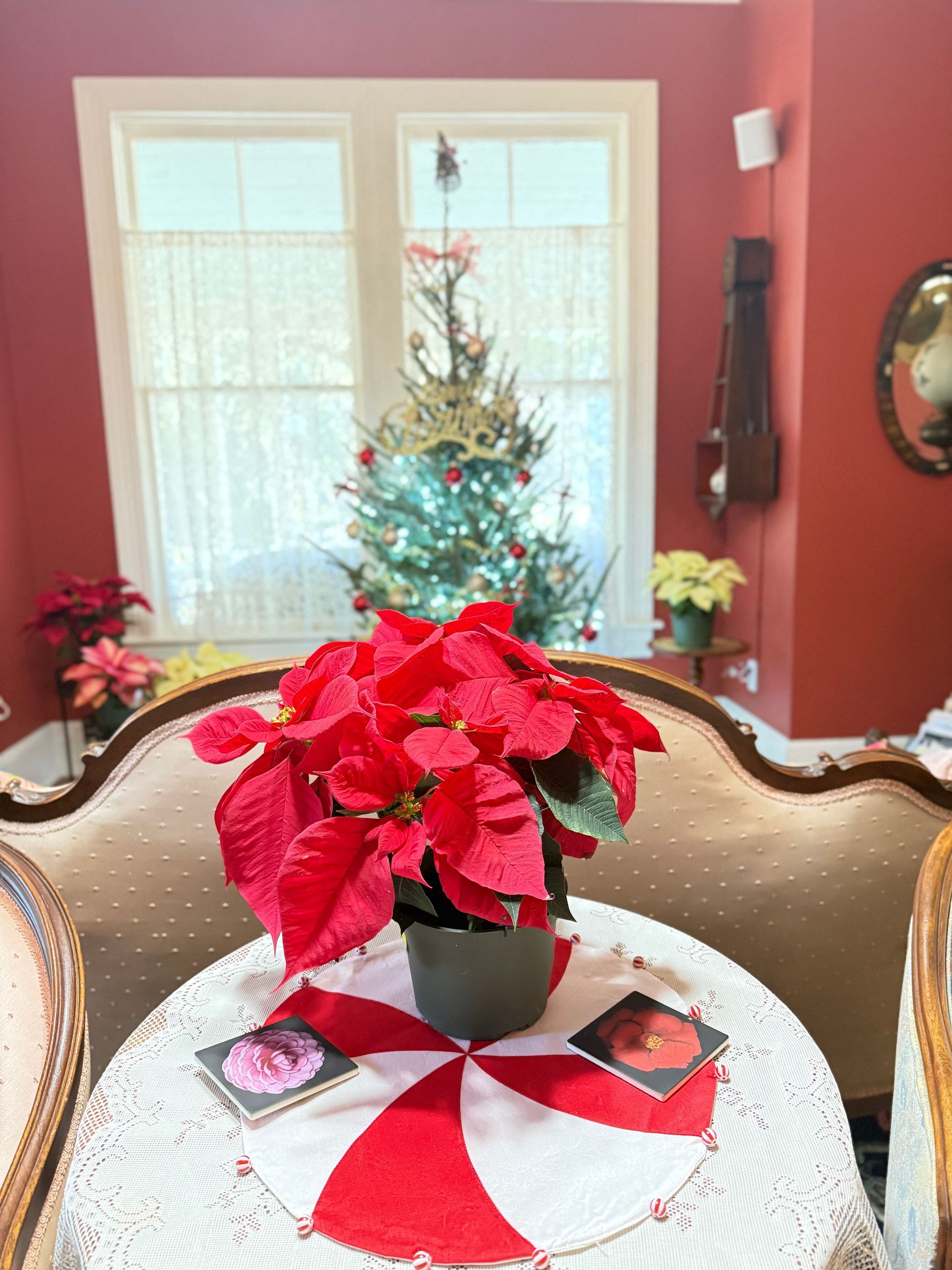 Holiday decorations in the living room at The Camellia Rose Inn