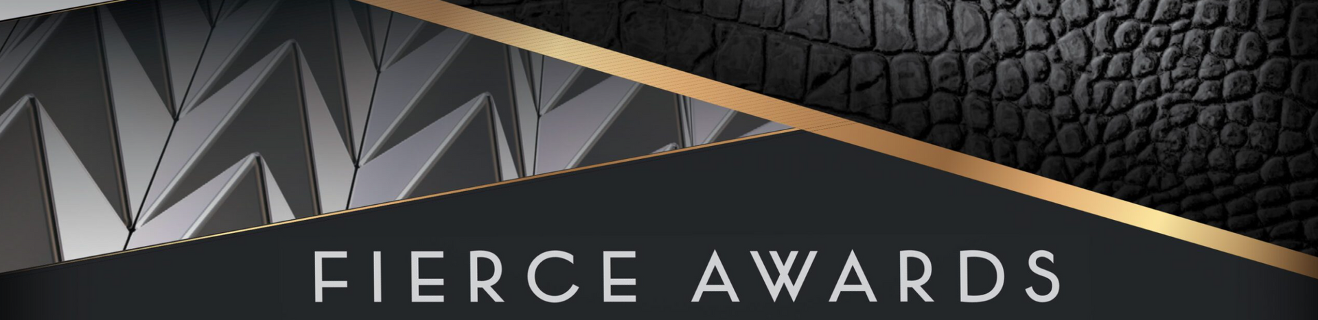 The Guide to Greater Gainesville's Fierce Awards 2024