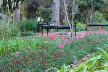 The University of Florida Campus: Visit the UF during your stay at The Laurel Oak Inn