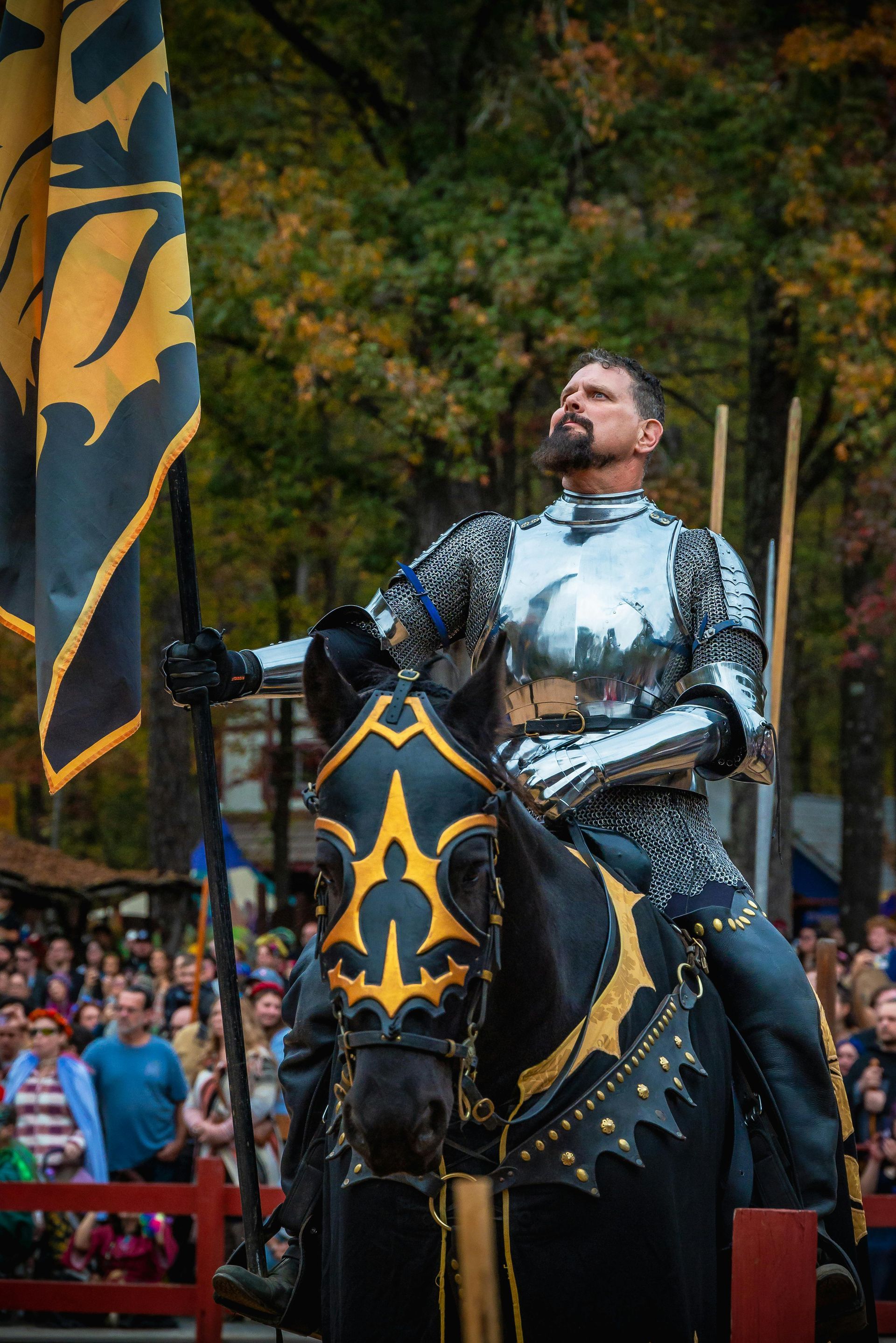 Hoggetowne Medieval Faire in Gainesville Florida