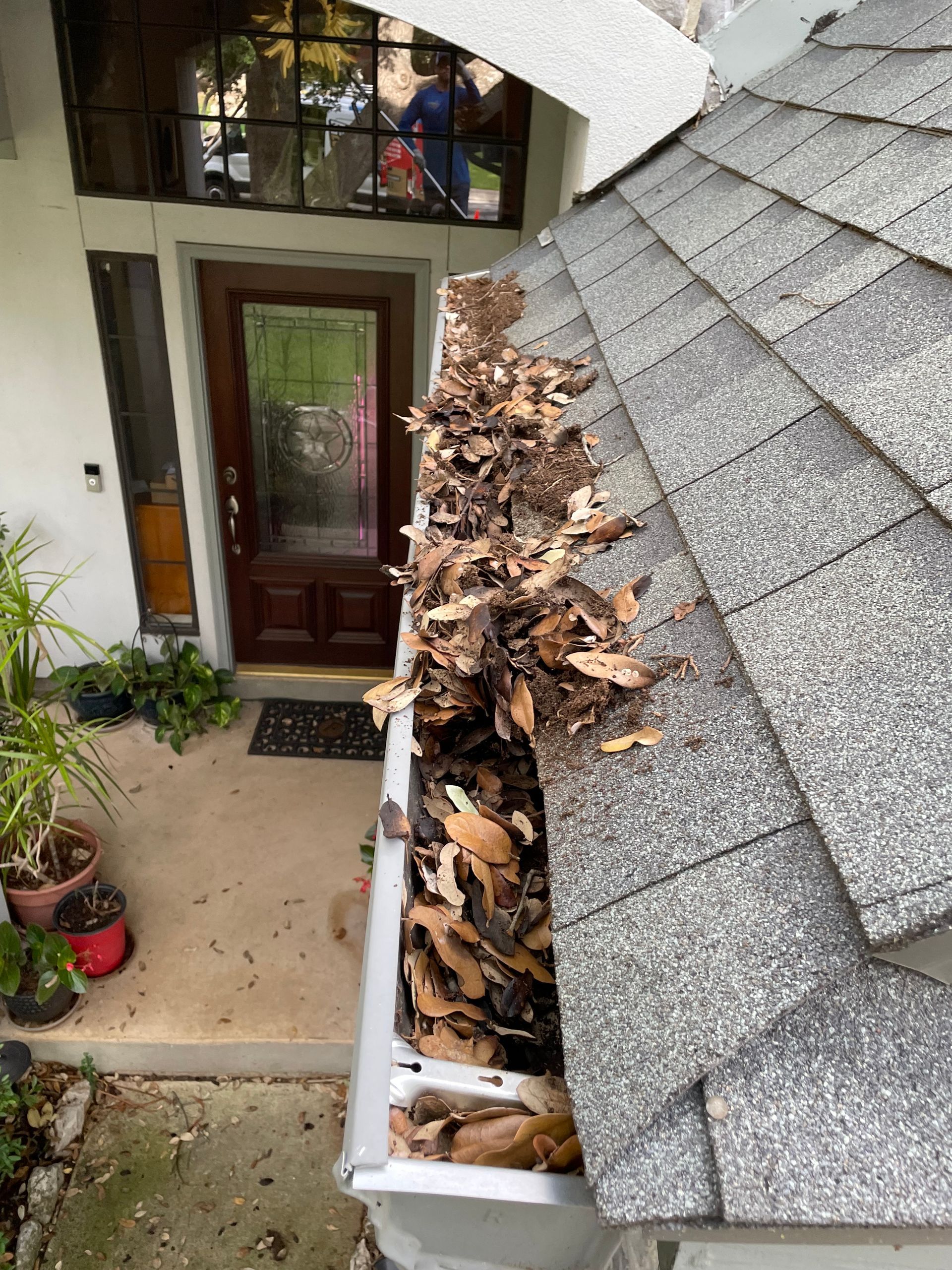 A gutter filled with leaves on the roof of a house.