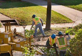 Storm Clean Up —  Street Cleaning in North Palm Beach, FL