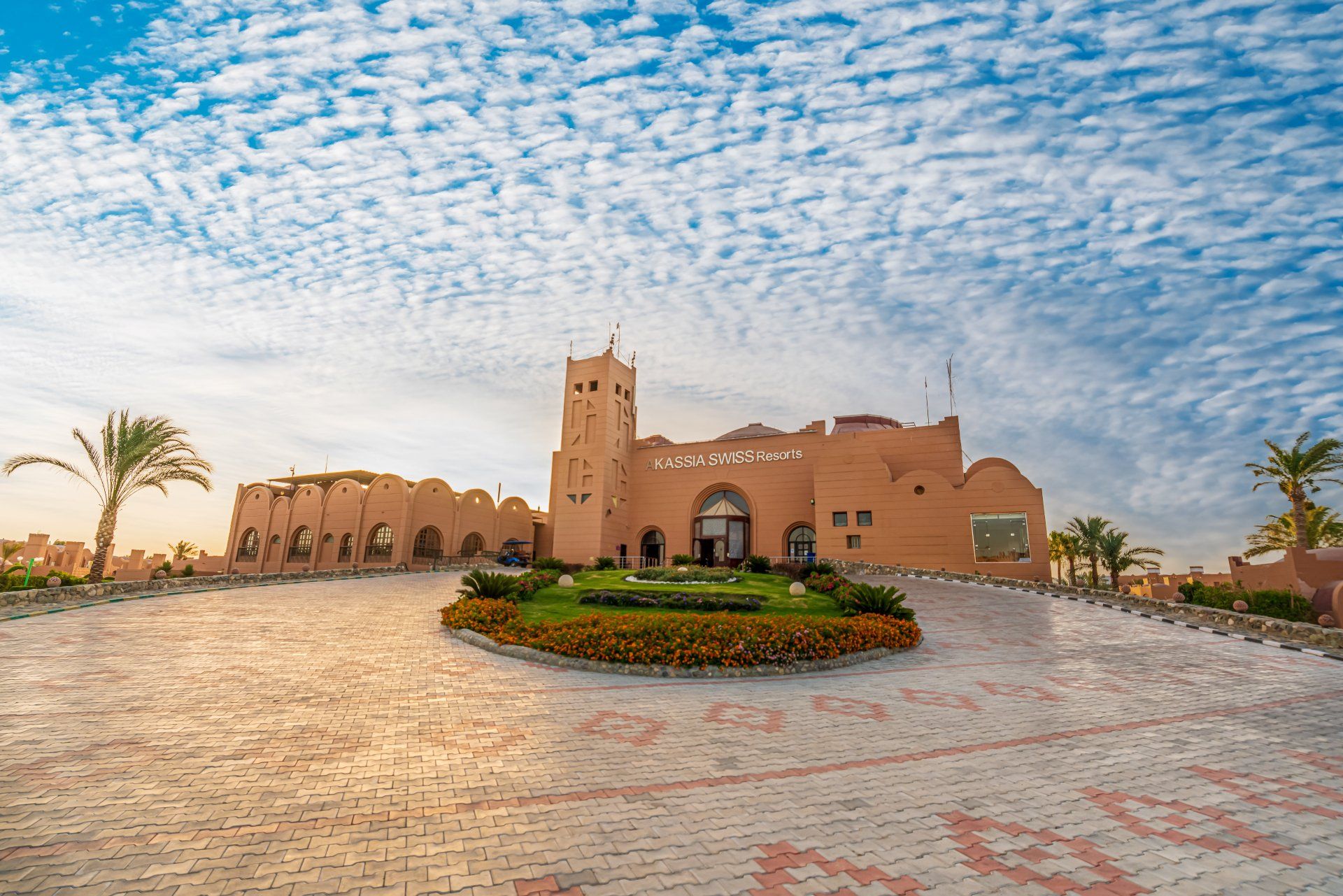 A large building with a clock tower on top of it is surrounded by palm trees and flowers.