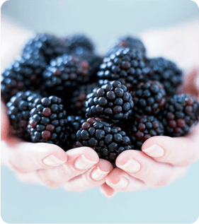 fruit importers - fruit suppliers - fruit distributors - dg fruit uk