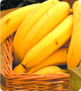 Bananas - Fruit suppliers - London - DG Fruit UK