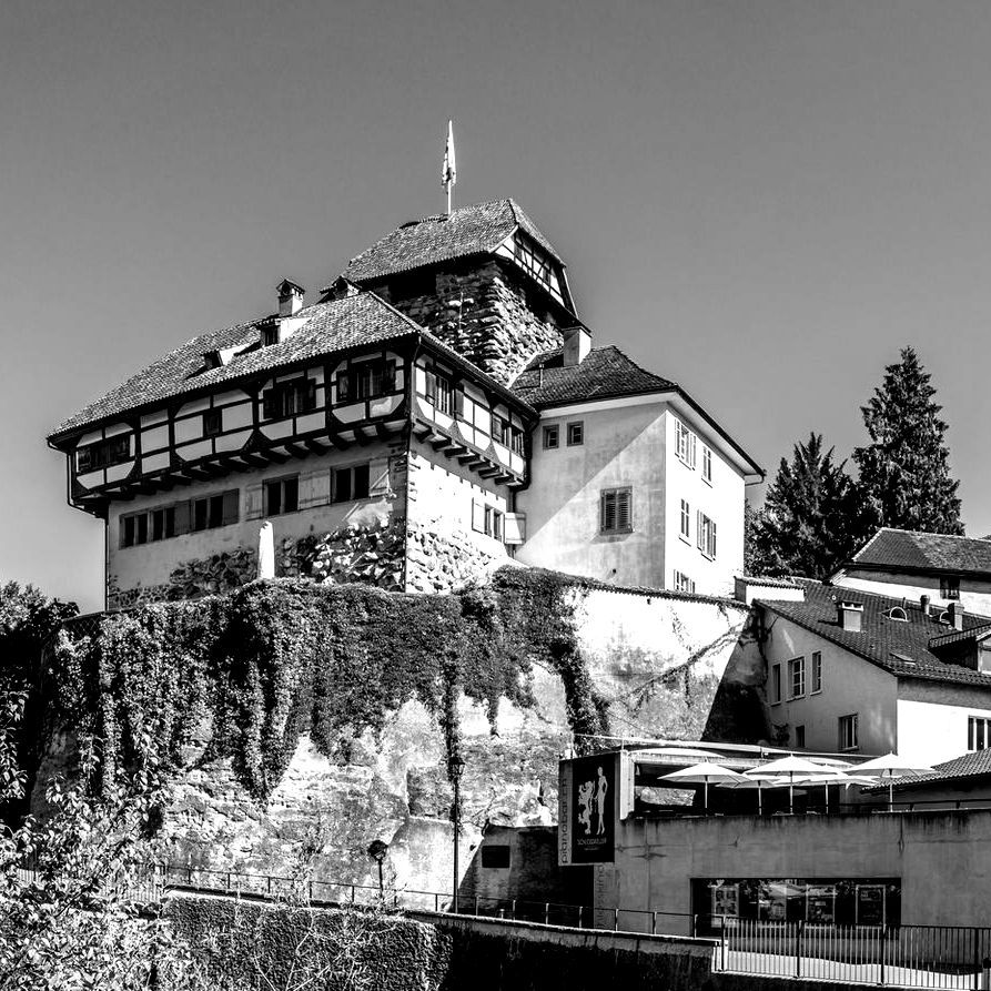 Foto Schloss Frauenfeld für die Seite Webdesign Thurgau