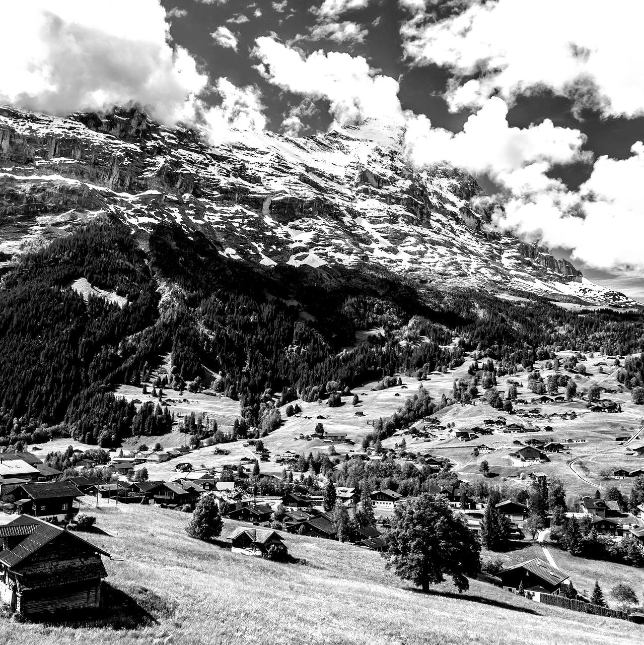 Foto Grindelwald mit Eiger für die Seite Webdesign Grindelwald