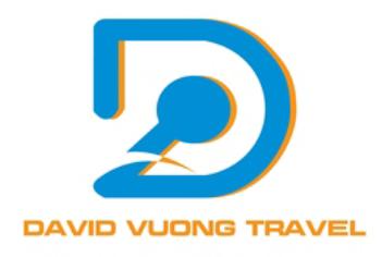 David Vuong Travel  - logo
