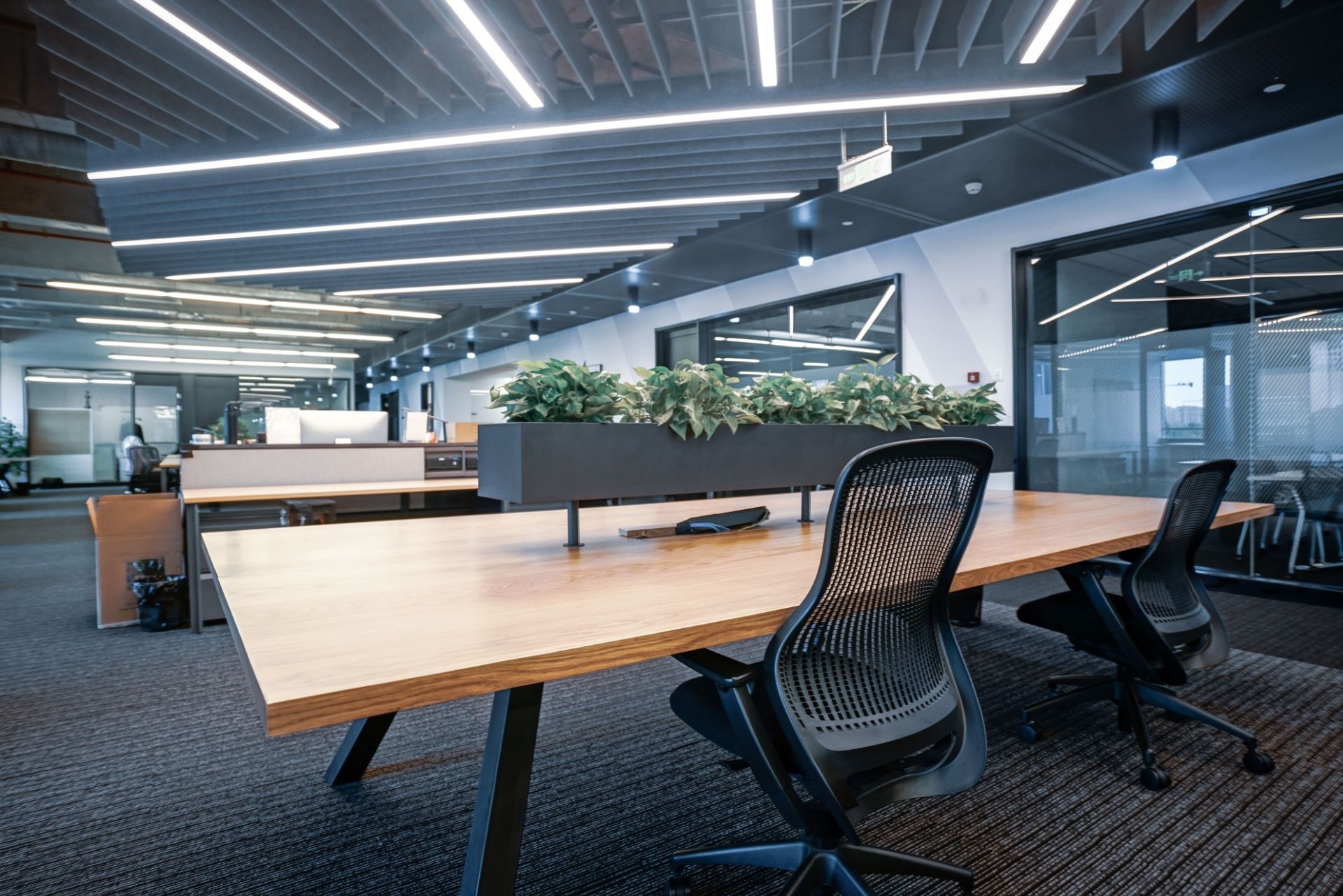 Modern open-plan office space featuring a wooden desk with a central planter, office chairs, and linear ceiling lighting.