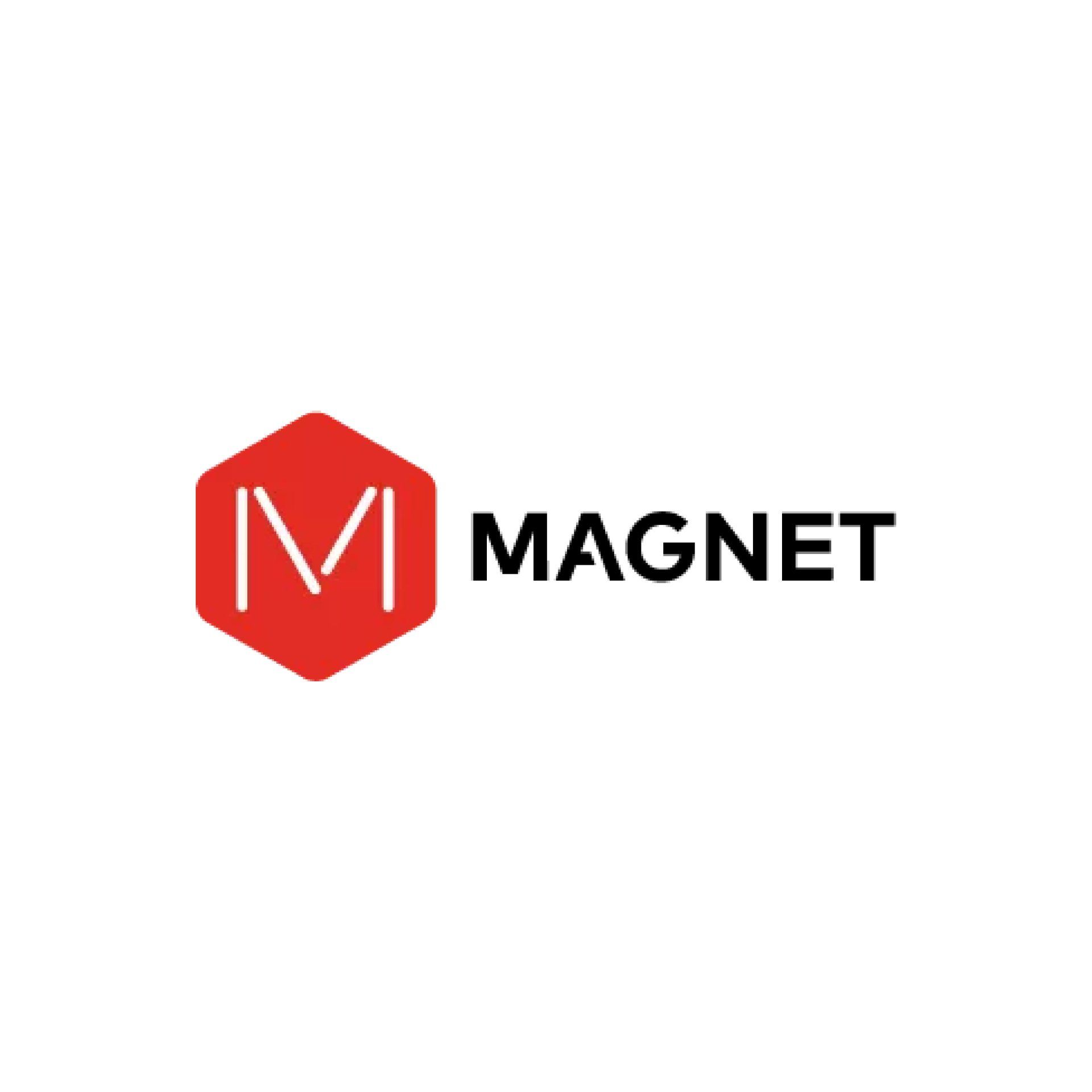 Magnet
