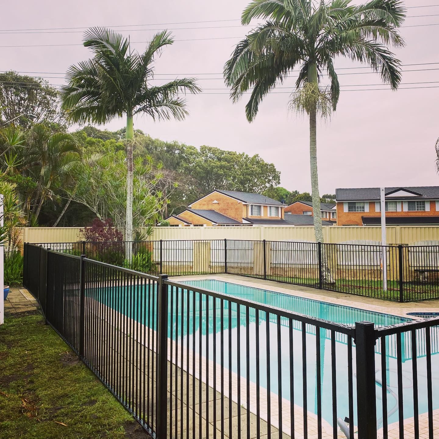 A Fence Surrounds a Swimming Pool With Palm Trees in the Background — Fence & Deck Australia Pty Ltd in Tweet Heads, NSW