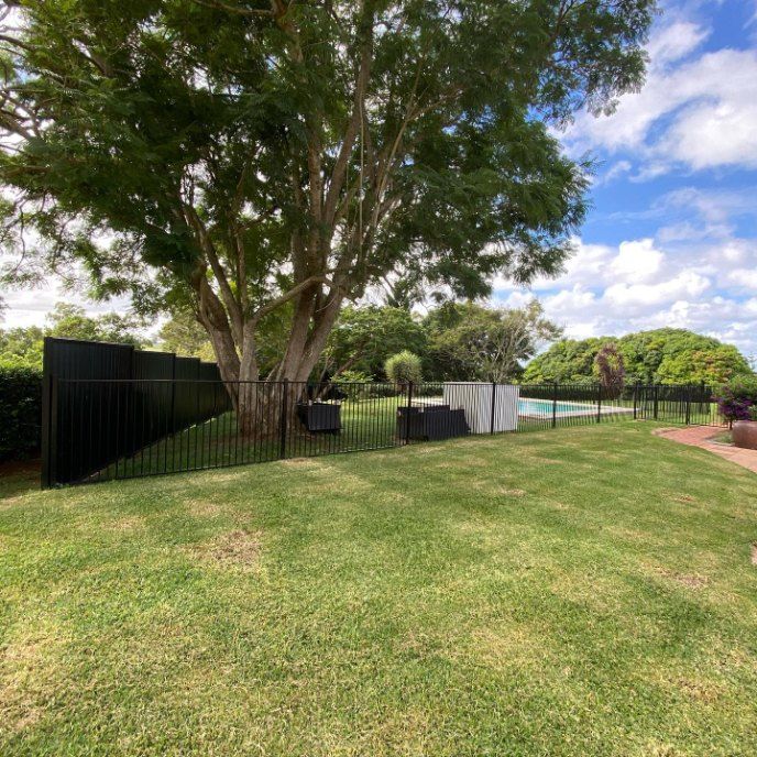 A Large Lawn With a Black Fence and a Tree in the Background — Fence & Deck Australia Pty Ltd in Pottsville, NSW