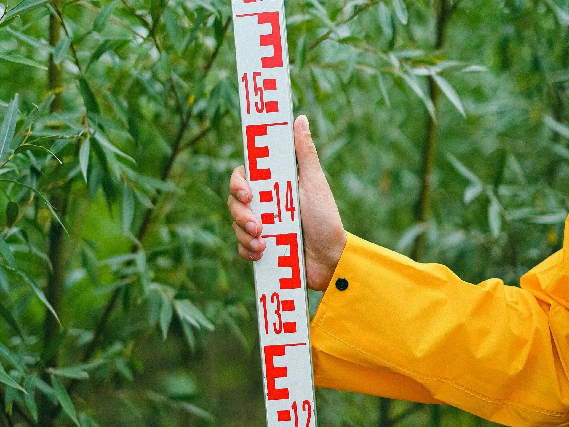 Winding road through lush green forest and deforested hills under a cloudy sky.