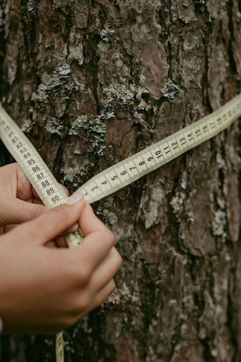 Hands measuring a tree trunk with a yellow tape measure in an outdoor setting.