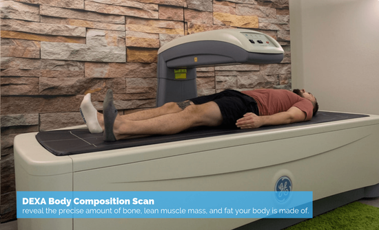 DEXA Body Composition Scan DEXA Body Composition Scan