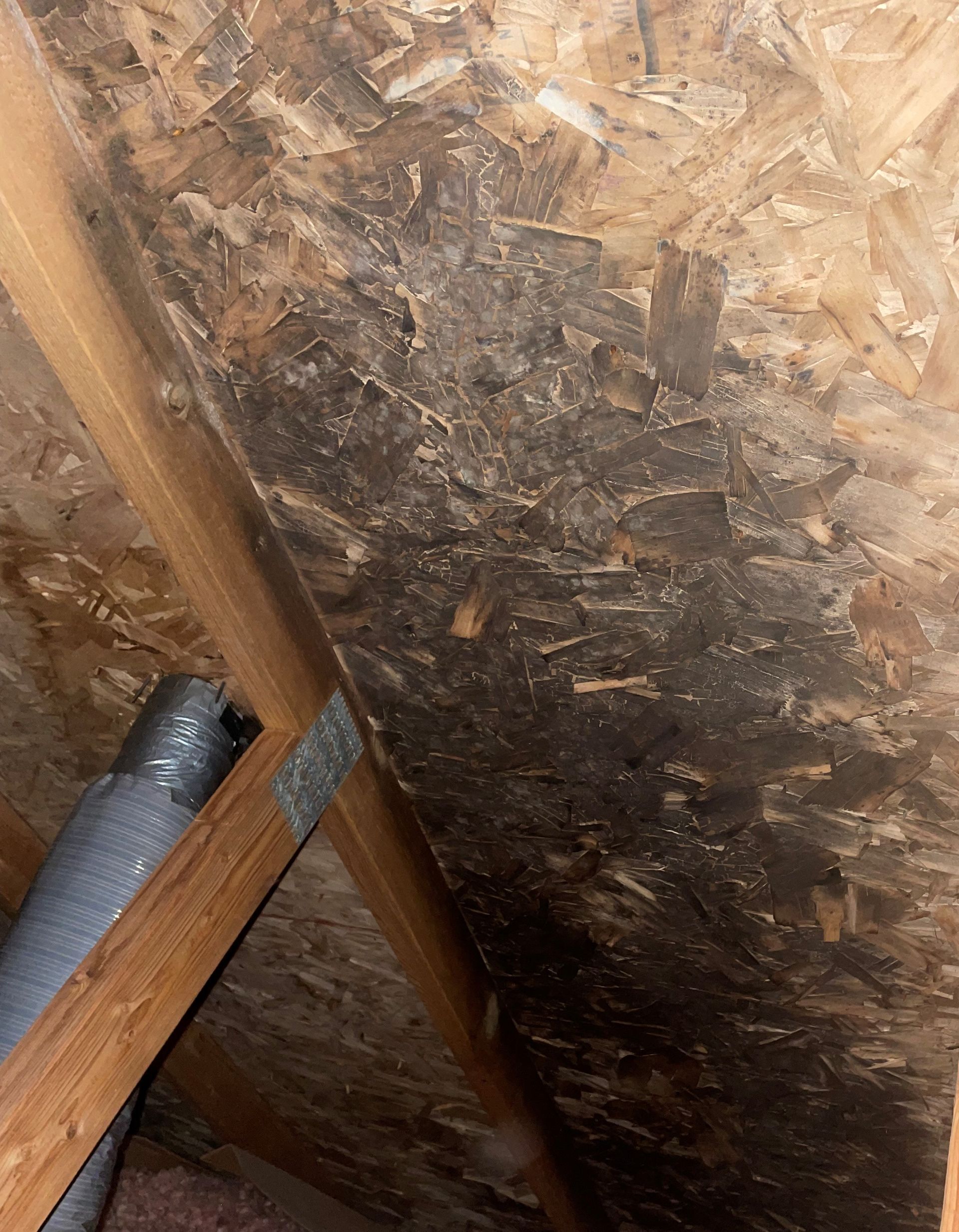 Attic Initial — Shakopee, MN — Breathe Right