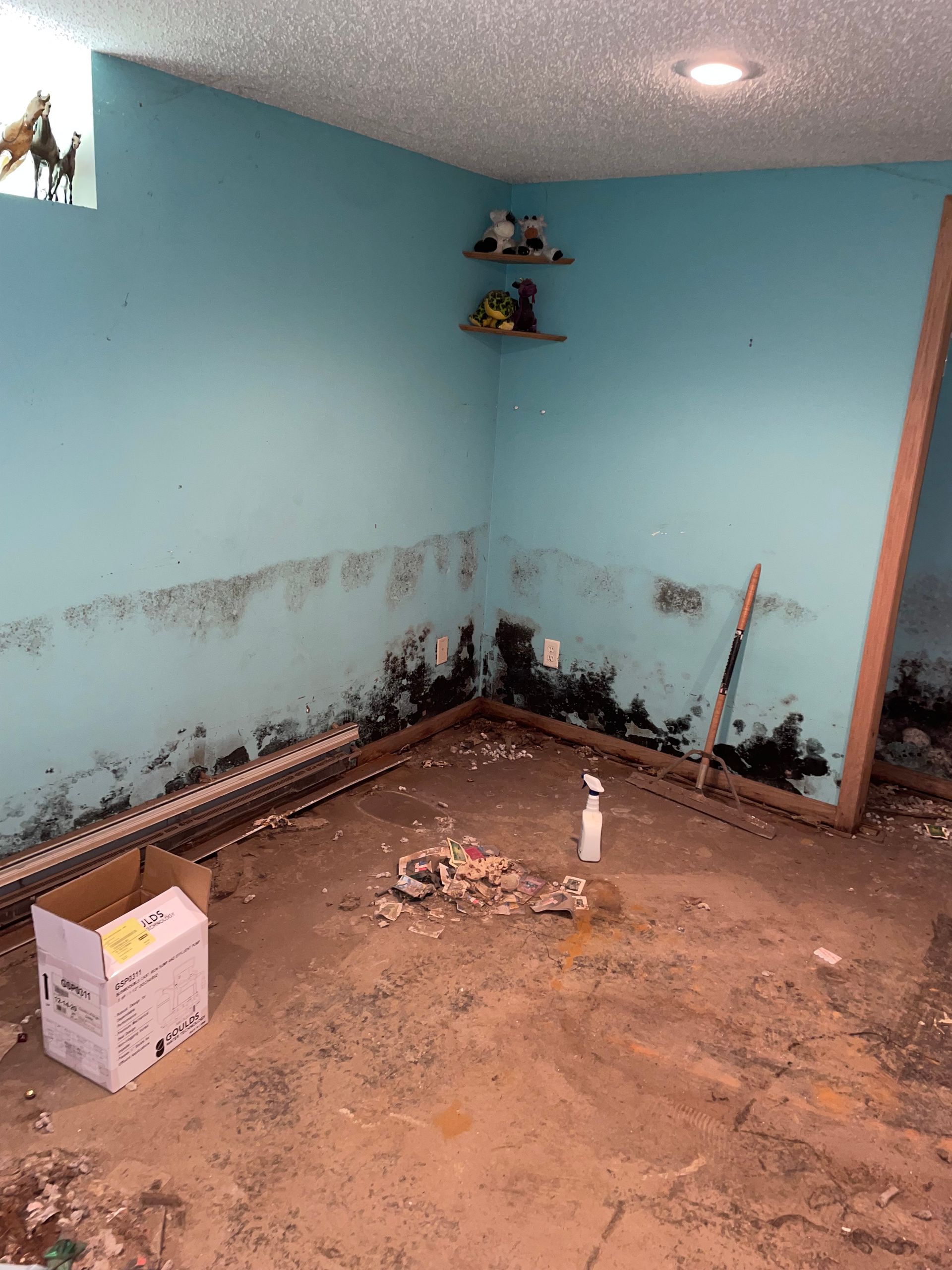 Bedroom Initial — Shakopee, MN — Breathe Right