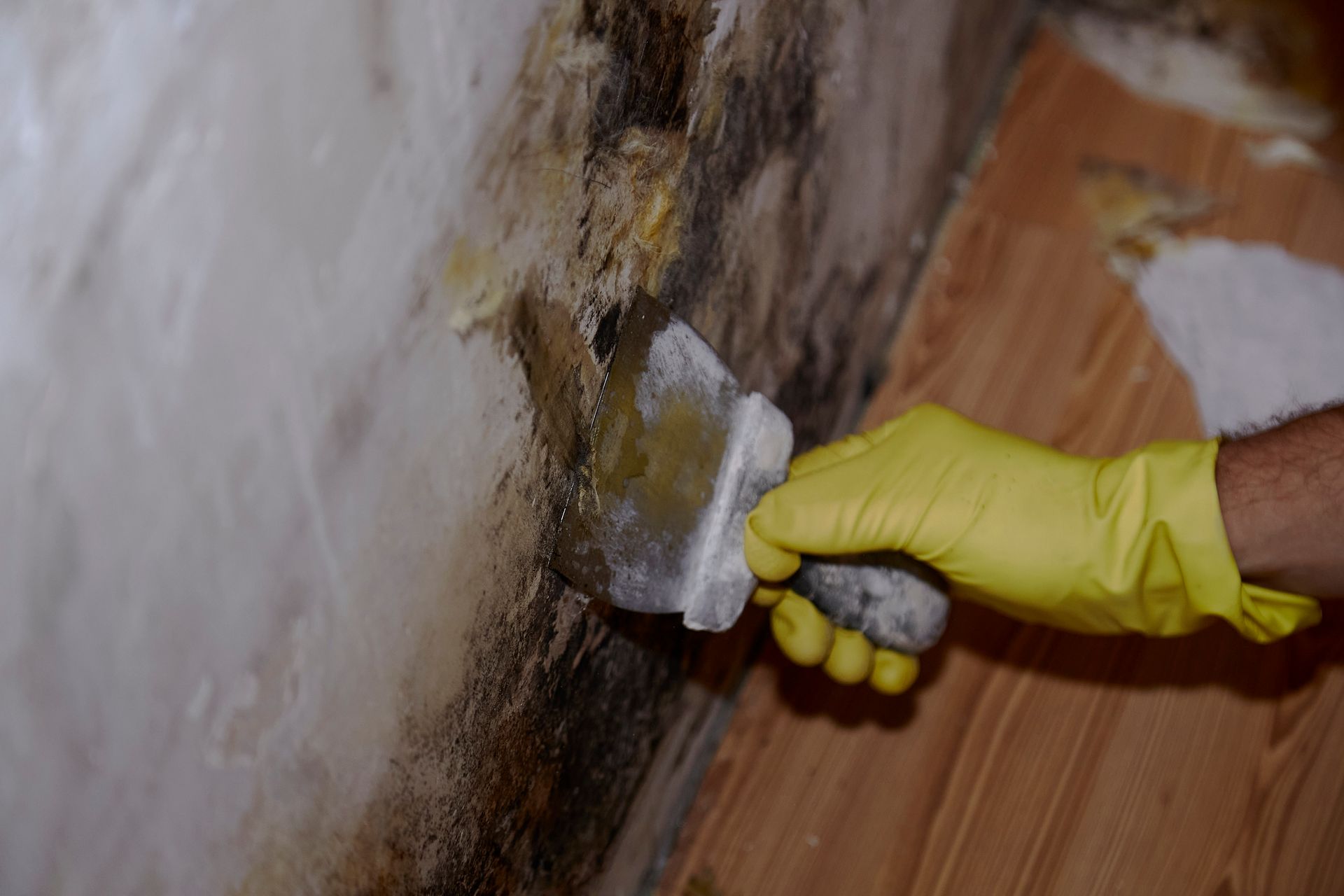 Removing Molds — Shakopee, MN — Breathe Right