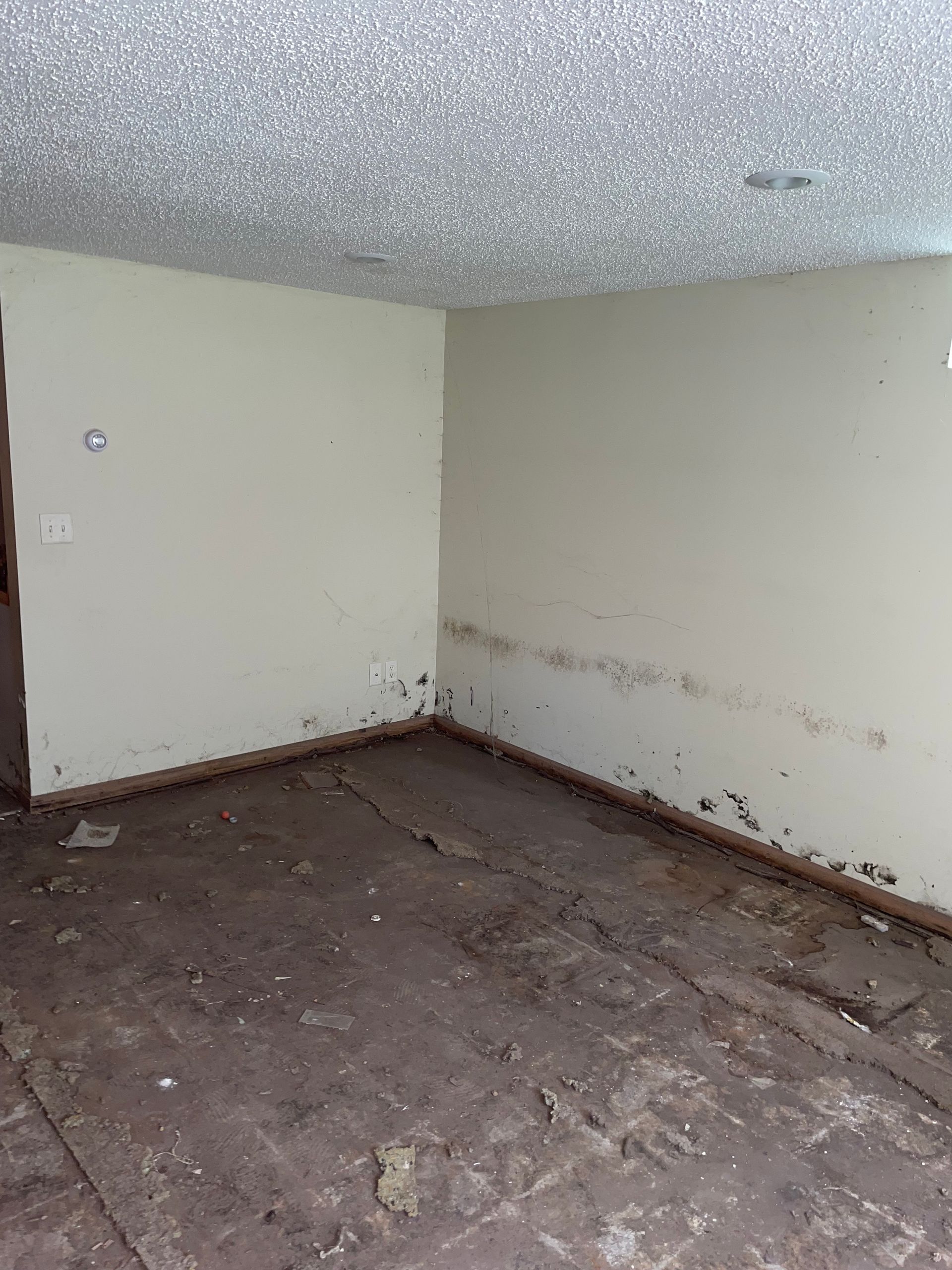 Living Room Initial — Shakopee, MN — Breathe Right