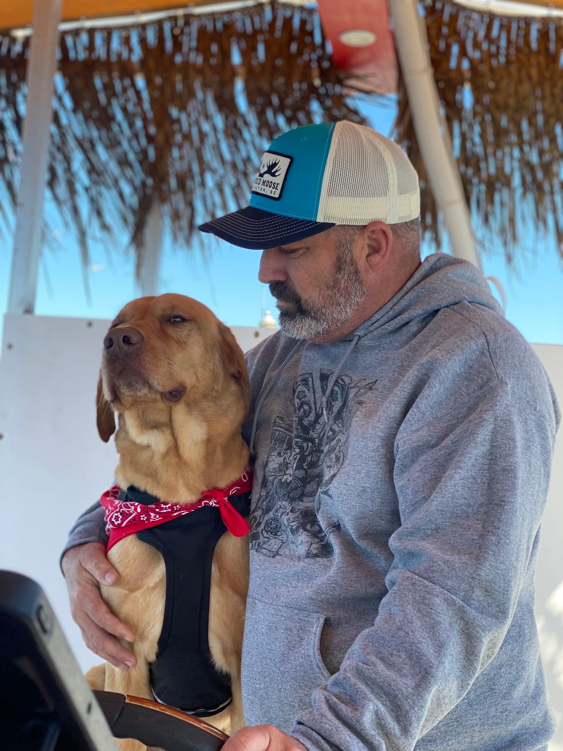 A man is holding a dog that is wearing a harness