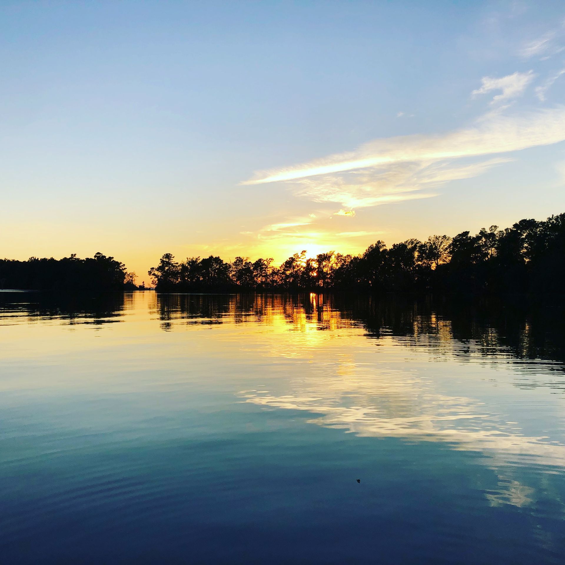 A sunset over a body of water with trees in the background