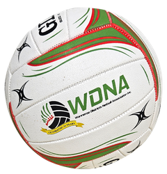 A volleyball with the word wdna on it
