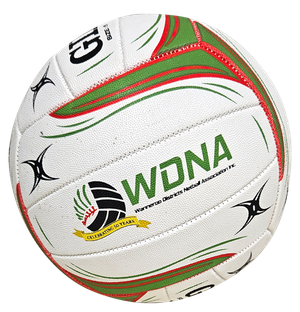A volleyball with the word wdna on it