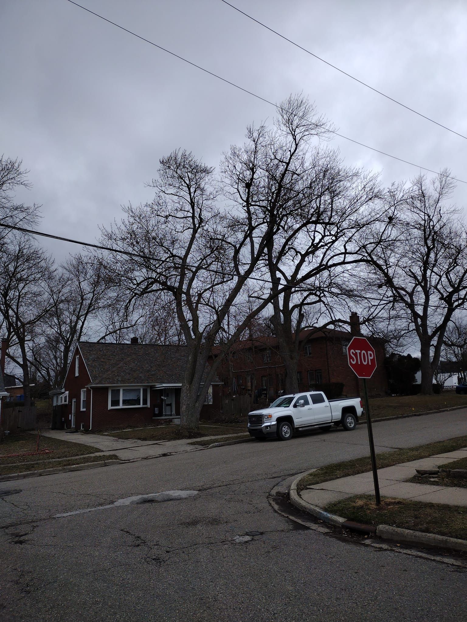 Car On The Street - Clarkston, MI - Logan’s Tree & Landscaping