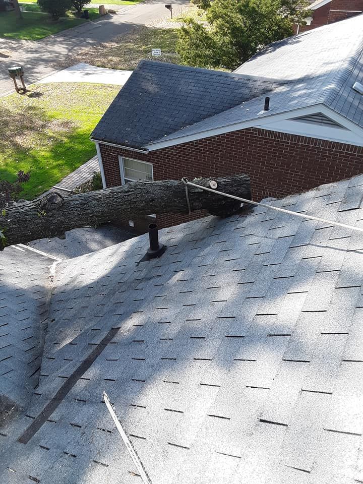 Tree On Roof - Clarkston, MI - Logan’s Tree & Landscaping