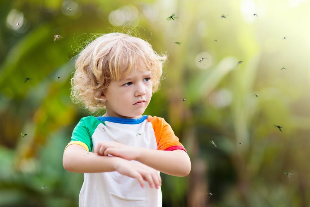 Mosquito Control Venice Fl