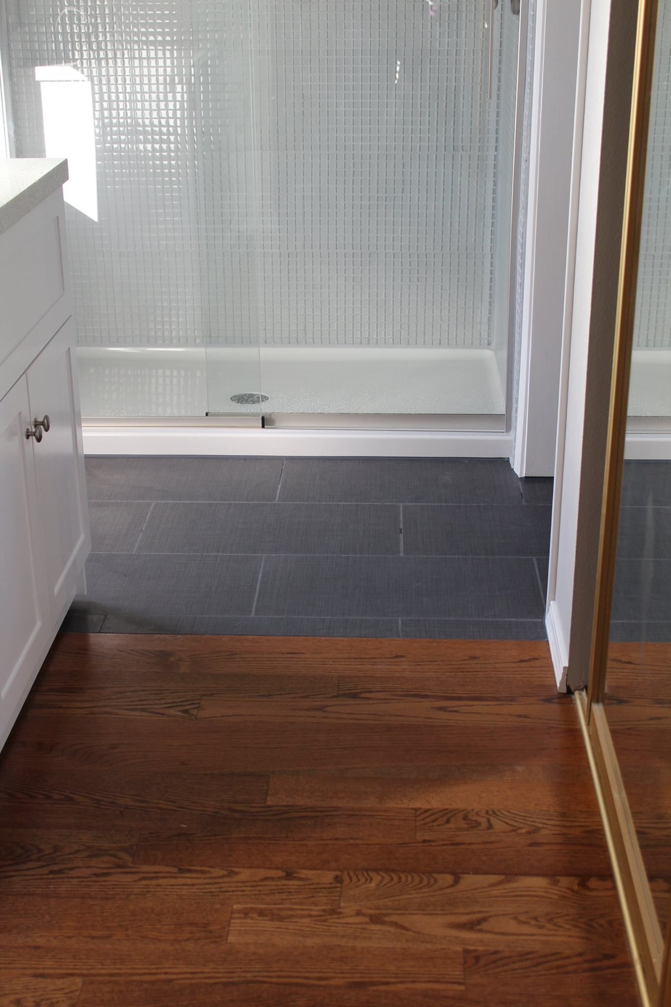 Bathroom with hardwood floor and dark tile shower floor. White vanity on left, shower in background.