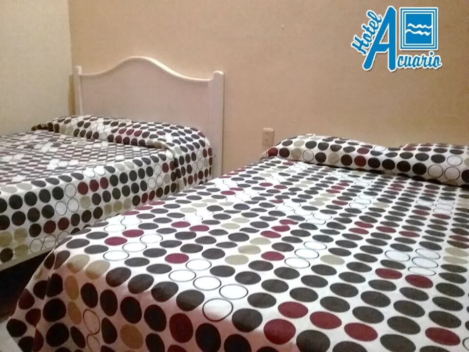 Dos camas con sábanas de lunares en una habitación de hotel.