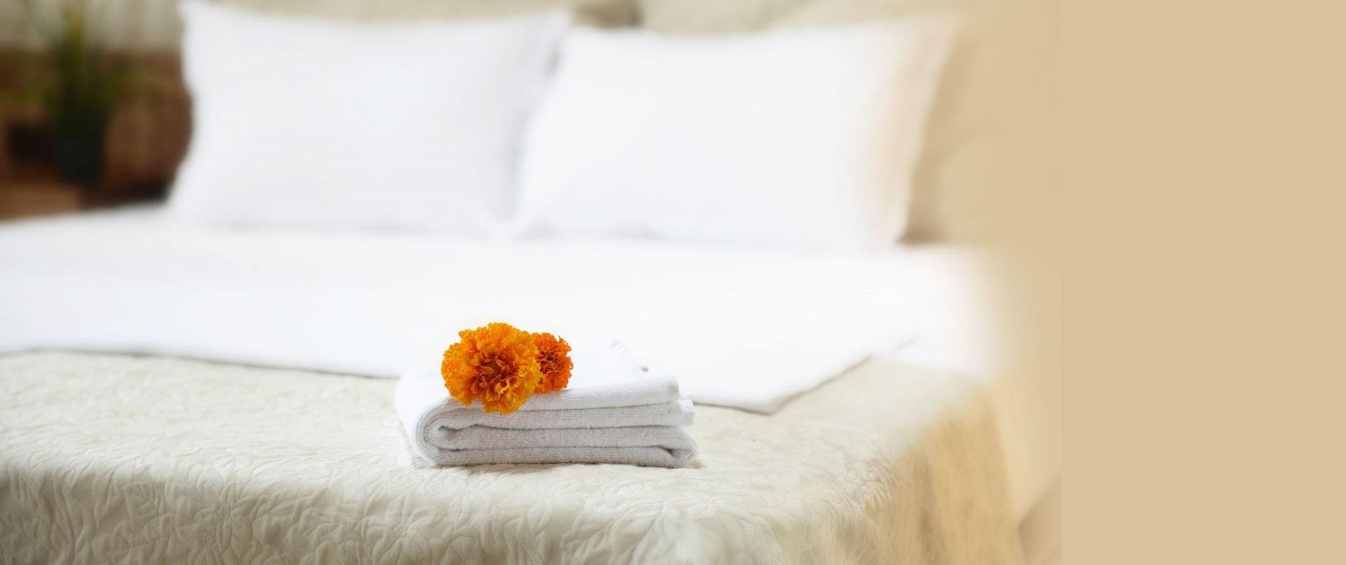 Una pila de toallas y una flor en una cama.