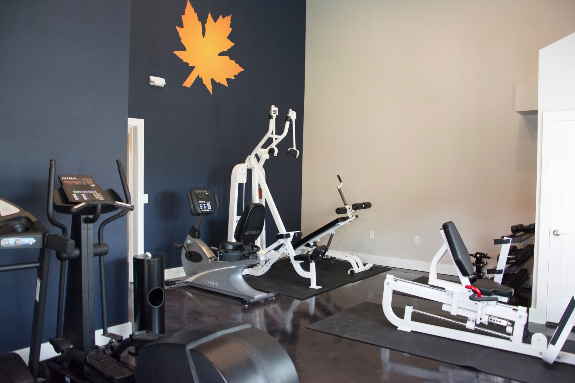 Photo of the fitness center