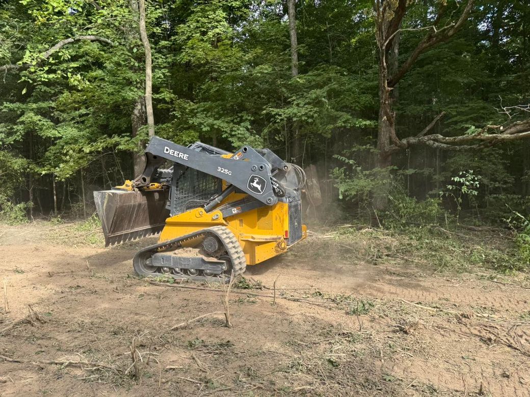Yellow mini skid steer clearing brush in a wooded area with a black bucket attachment