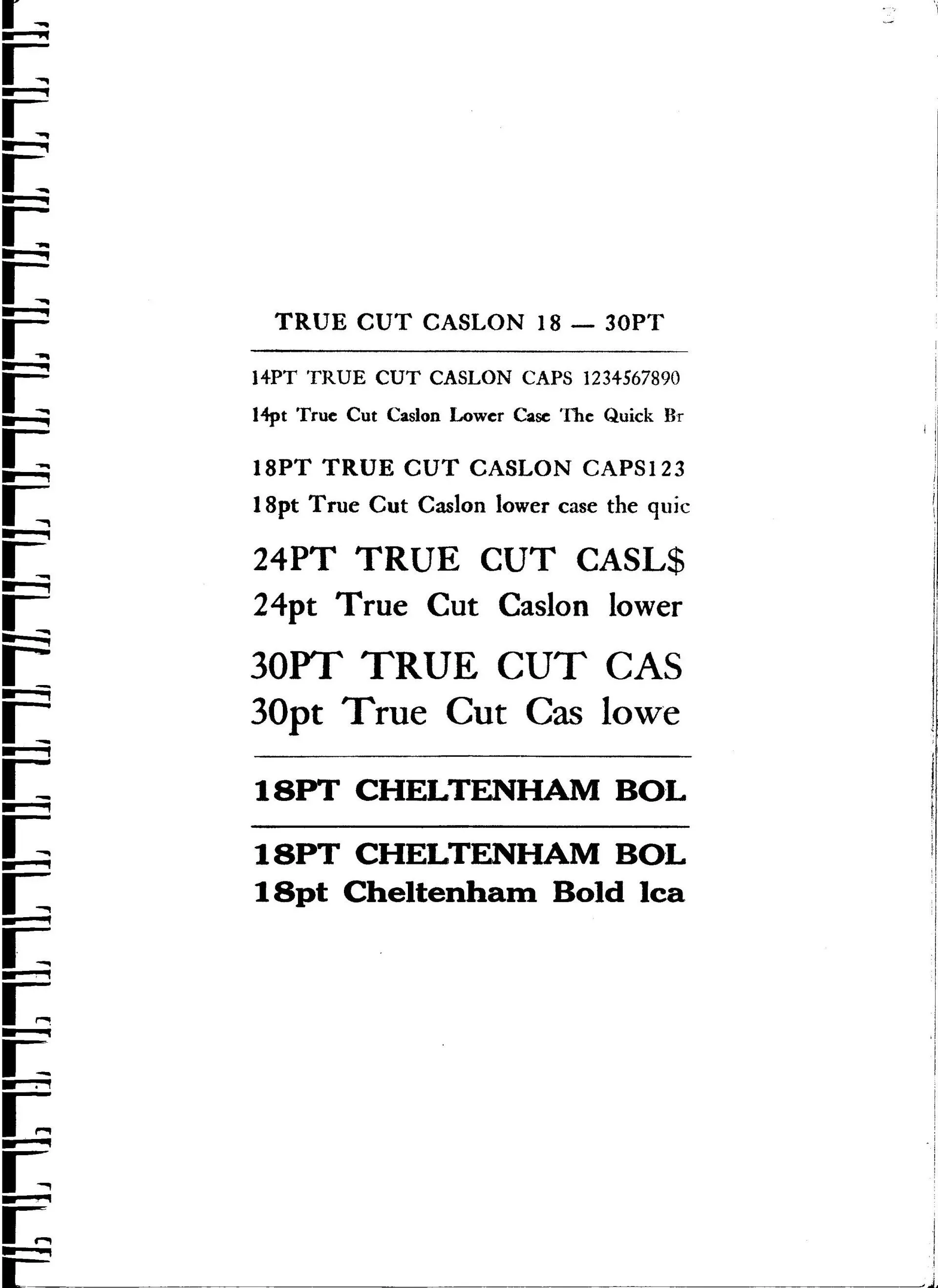 True Cut — Salisbury, QLD — Books & Boxes