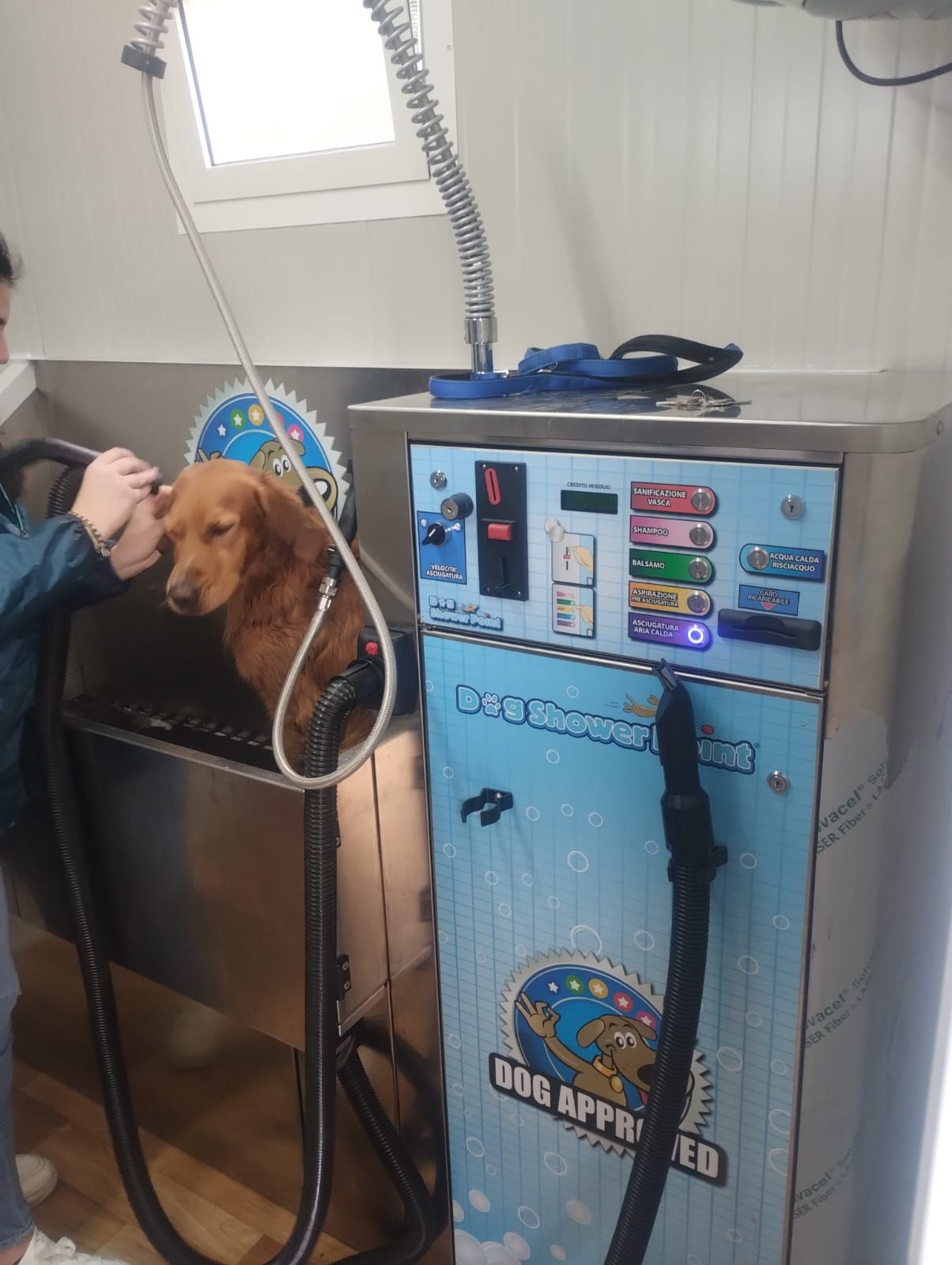 Servizio self lavaggio cani