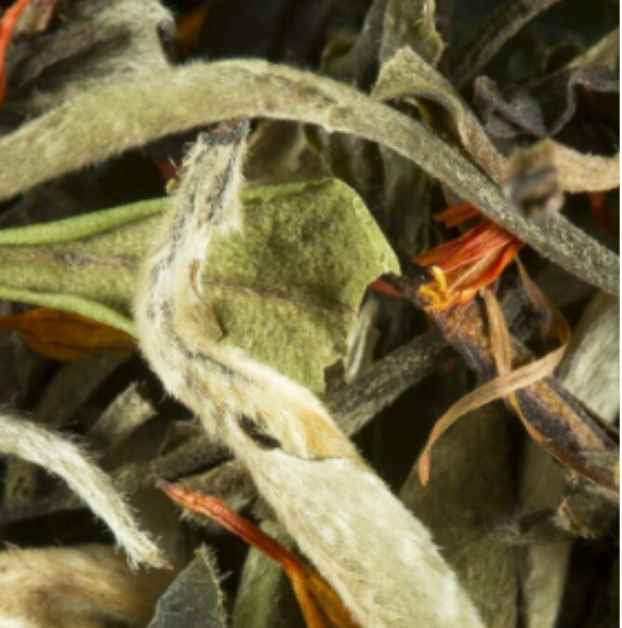 THĂ BLANC - POIRE MARRON GLACĂ