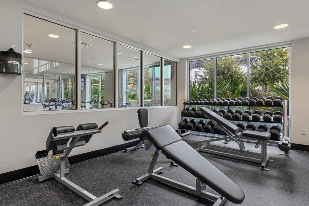 A fitness center with a lot of dumbbells and a bench at Sabina in Austin, TX.