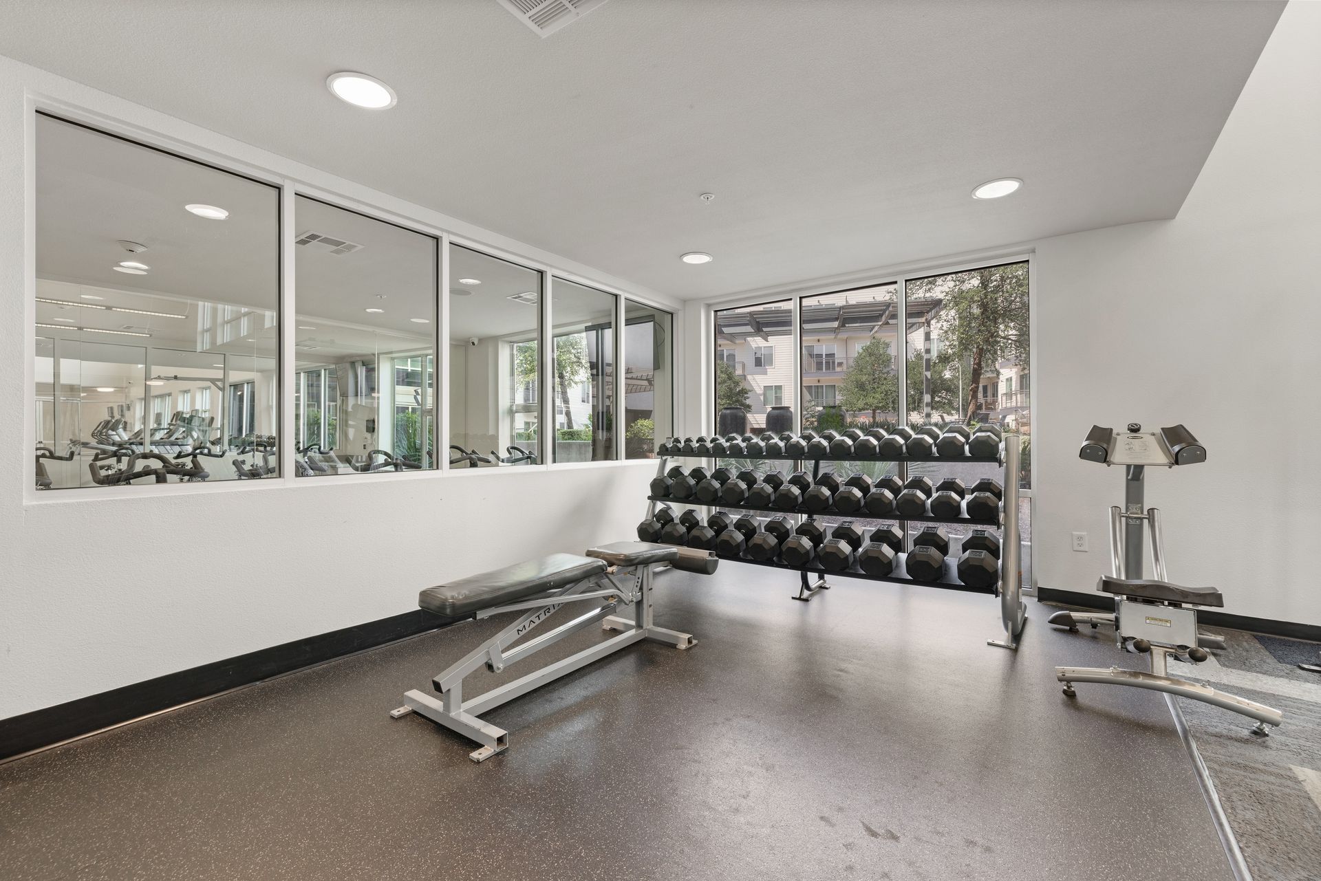 Modern gym room with weight bench, dumbbells, and exercise equipment, mirrored walls, and large windows at Sabina in Austin, TX.