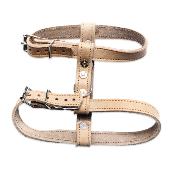 A tan leather dog harness with a metal buckle