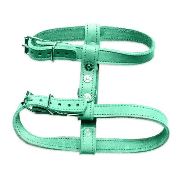 A light blue leather dog harness with a metal buckle