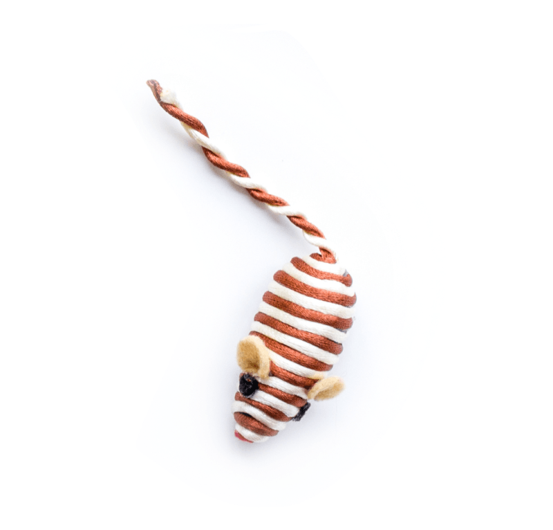 A brown and white striped mouse with a twisted tail