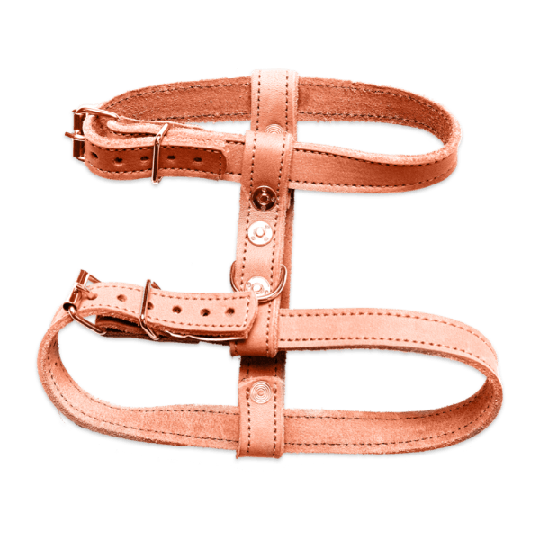 A brown leather dog harness with a collar attached