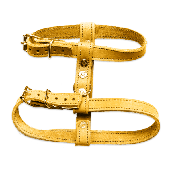 A yellow leather dog harness with a metal buckle