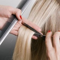 Hairdresser Cutting Blonde Hai 15993587 W 316 H 316 A T 199w 